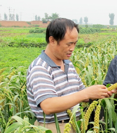 ����ɽ ��(y��u)����ό���